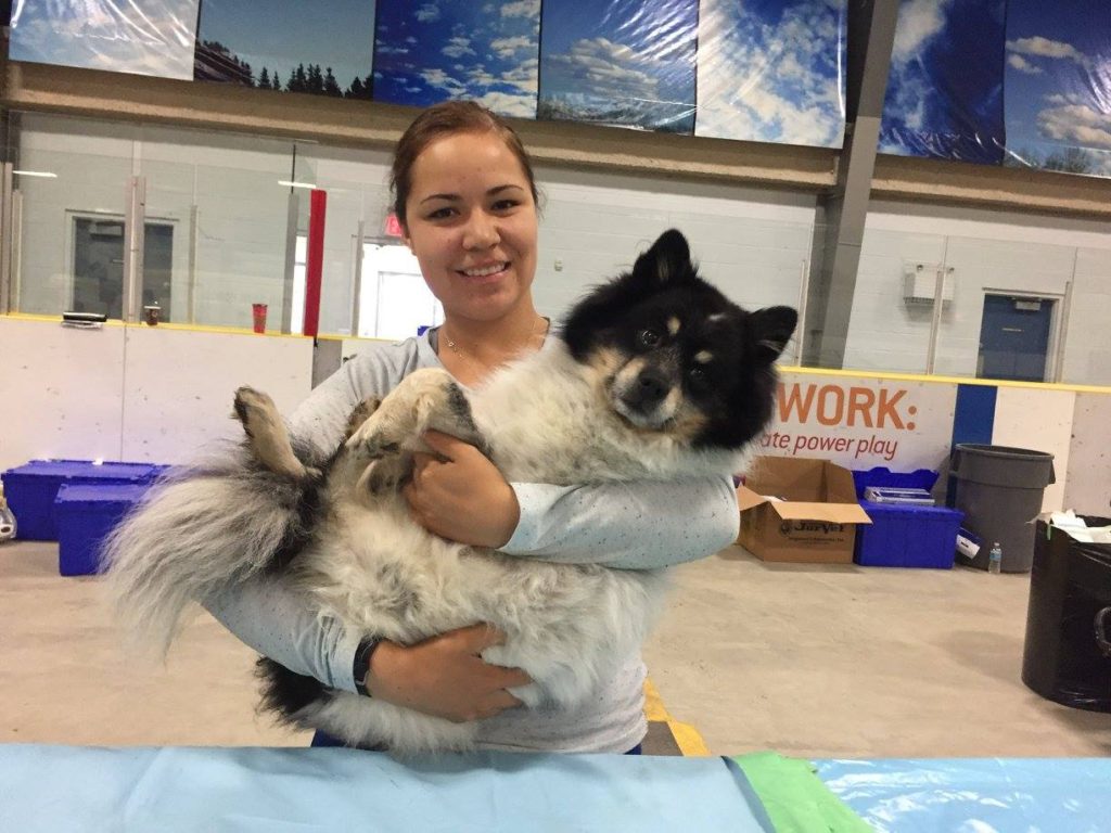Spay and Neuter Clinics - Canadian Animal Task Force