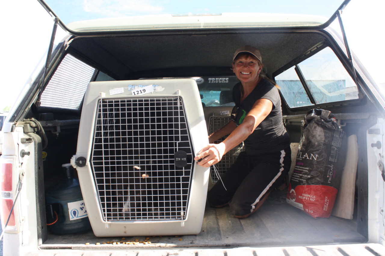 General Volunteers - Canadian Animal Task Force