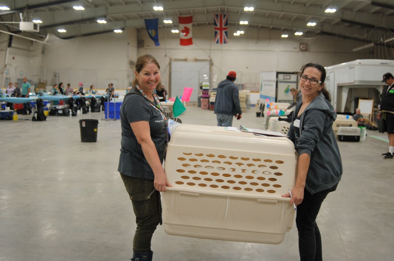 General Volunteers - Canadian Animal Task Force