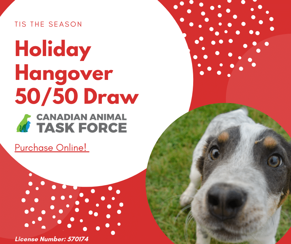HOLIDAY HANGOVER 50/50 DRAW - Canadian Animal Task Force