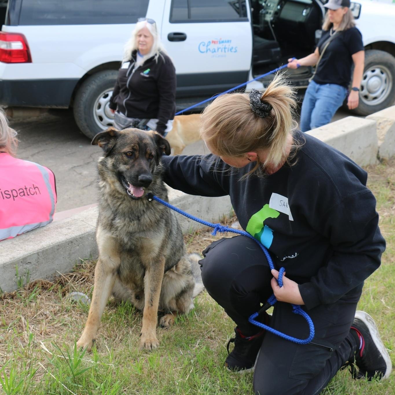 Meet Our Team - Canadian Animal Task Force
