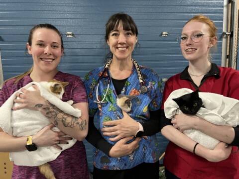 Spay and Neuter Clinics - Canadian Animal Task Force